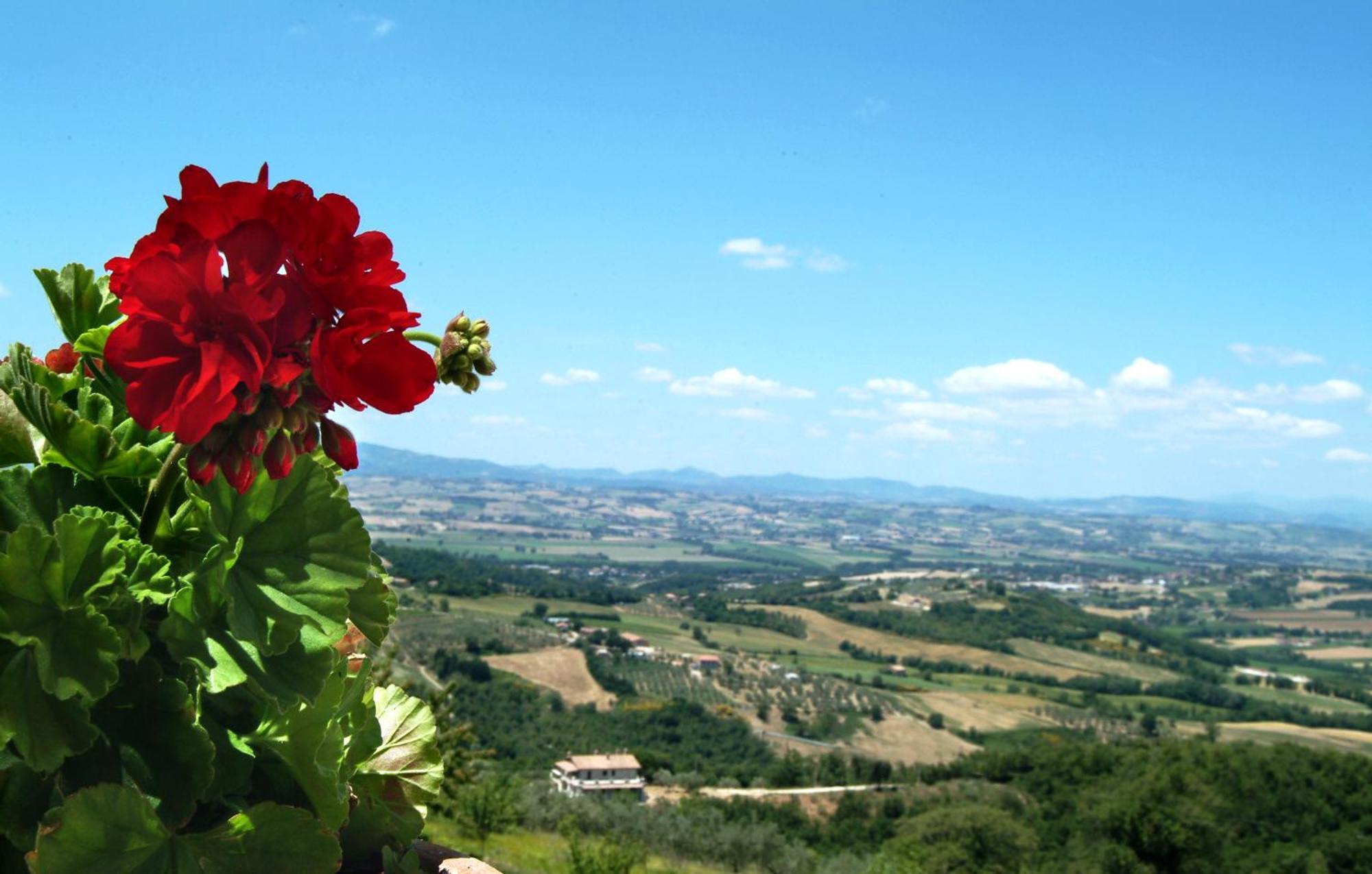 San Giovanni Al Monte Collazzone Luaran gambar